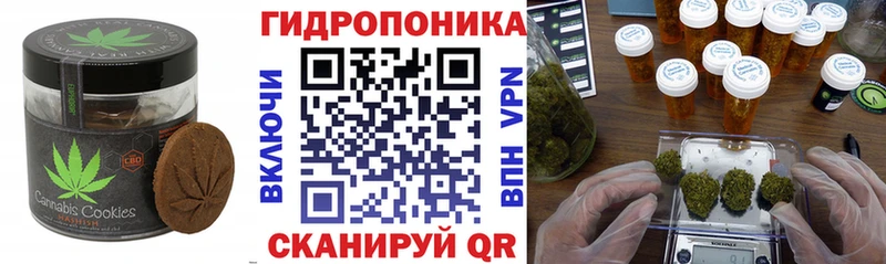 ОМГ ОМГ ССЫЛКА  Жирновск  Canna-Cookies марихуана  закладки 