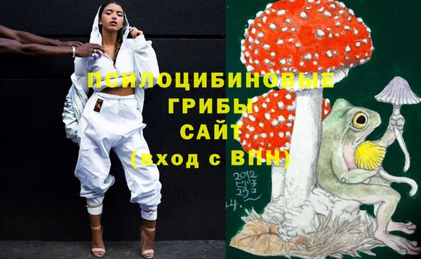 амфетамин Белокуриха